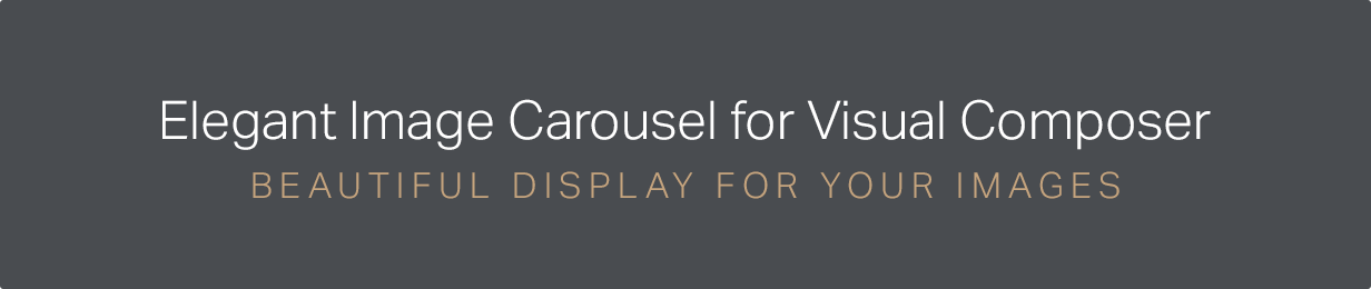 Huge Image Carousel for Visual Composer - 1