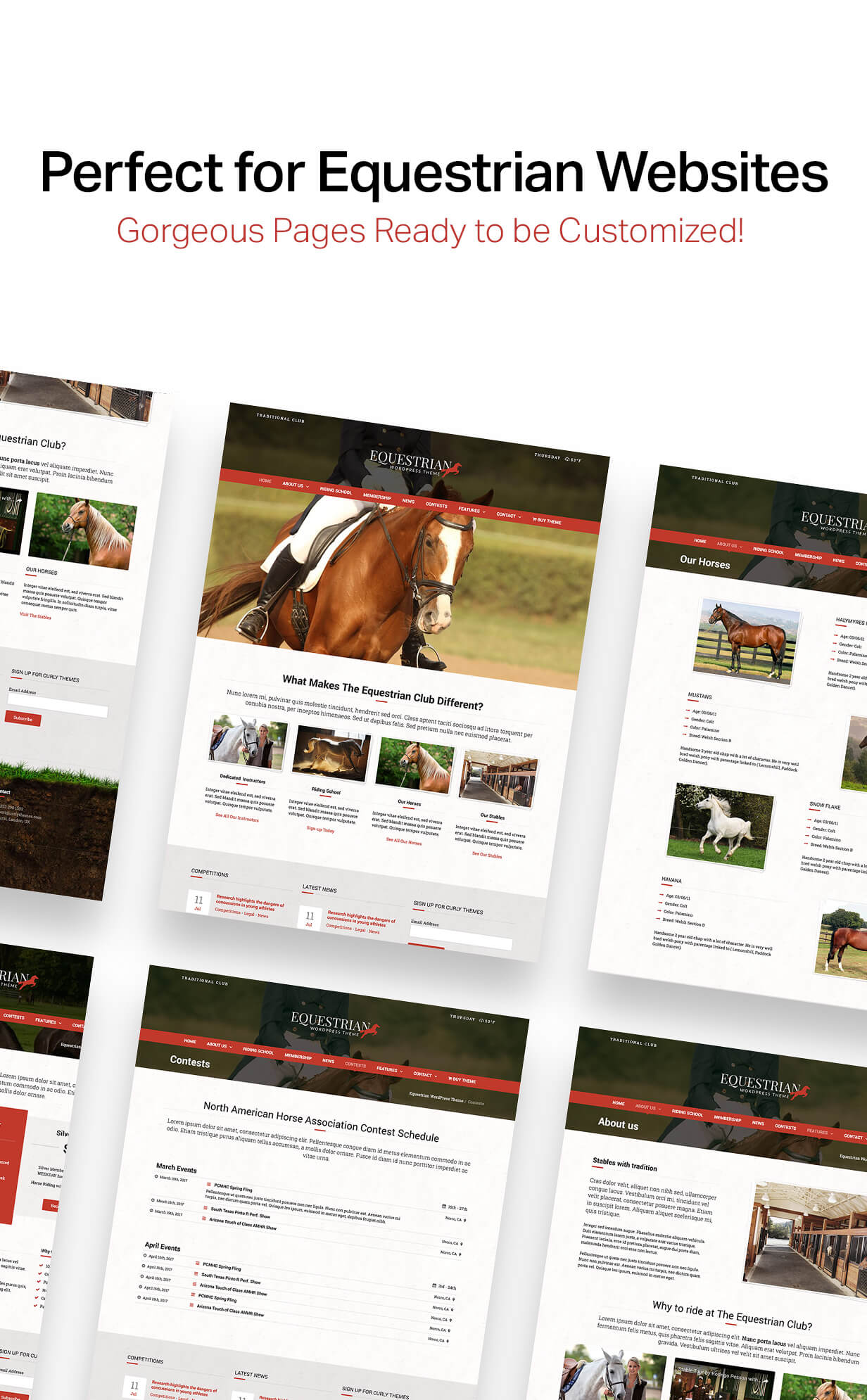 Equestrian - Horses and Stables WordPress Theme - 4