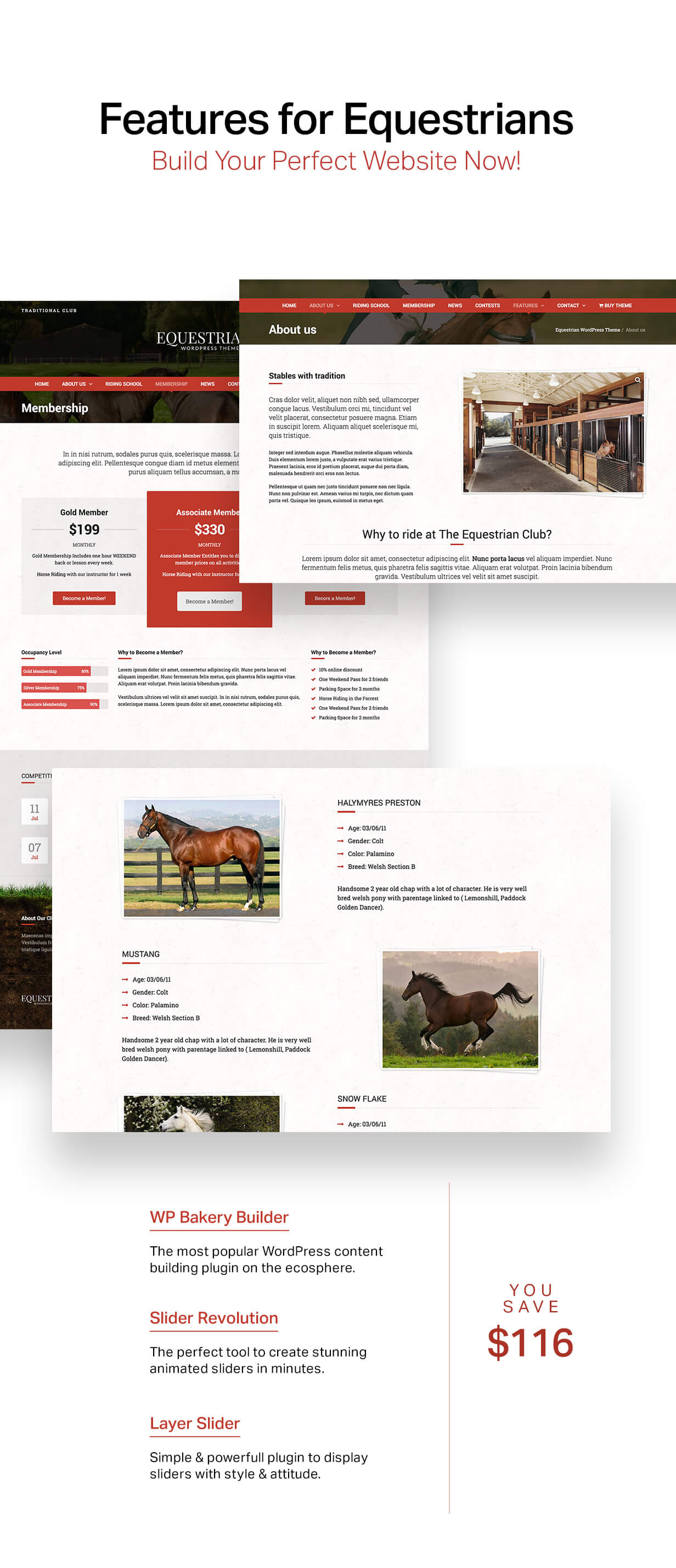 Equestrian - Horses and Stables WordPress Theme - 6